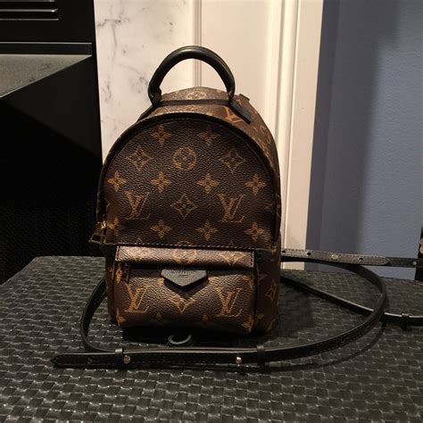 louis vuitton palm springs backpack mini limited edition|Louis Vuitton mini backpack.